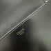 CELINE 2024 new handbag #A34855