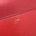 CELINE 2024 new handbag #A34855