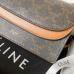 CELINE 2024 new handbag #A34856