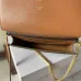 CELINE MULTIPOCHETTE in TRIOMPHE CANVAS AND CALFSKIN #A49260