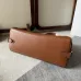 CELINE Medium Appoline Bag | Celine Handbag #A49262