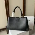 CELINE Medium Appoline Bag | Celine Handbag #A49262
