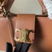 CELINE Medium Appoline Bag | Celine Handbag #A49262