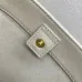 Celine Calfskin Leather Small Triomphe Bucket Bag  Brown/White #A49264