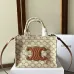 Celine Canvas Tyce Small Shoulder Tote Bag #A49300