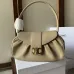 Celine MEDIUM POLLY BAG in SUPPLE CALFSKIN #A49274