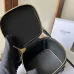 Celine Smooth Calfskin Cuir Triomphe Mini Vanity Case Tan #A49273