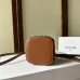 Celine Smooth Calfskin Cuir Triomphe Mini Vanity Case Tan #A49273