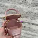 Celine Smooth Calfskin Cuir Triomphe Mini Vanity Case Tan #A49273