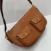 Celine Triomphe Shoulder Bag with Multiple Pockets #A45664