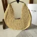 vCELINE CLASSIC PANIER HOBO BAG IN RAFFIA AND CALFSKIN #A49278