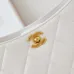  Chanel HOBO HANDBAG Shiny Lambskin #A49161