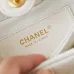  Chanel HOBO HANDBAG Shiny Lambskin #A49161