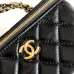 CHANEL CC GHW Vanity Case 2 Way Shoulder Bag #A49145