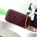 CHANEL CC GHW Vanity Case 2 Way Shoulder Bag #A49145