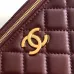 CHANEL CC GHW Vanity Case 2 Way Shoulder Bag #A49145