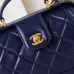 CHANEL Shiny Lambskin Quilted Mini Cocodoc #A49160