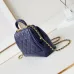 CHANEL Shiny Lambskin Quilted Mini Cocodoc #A49160
