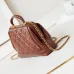 CHANEL Shiny Lambskin Quilted Mini Cocodoc #A49160