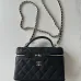 Chanel New Black Gold Cosmetic Bag #A50414