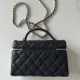 Chanel New Black Gold Cosmetic Bag #A50414