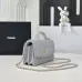 Wallet on chain - Shiny grained calfskin &amp; silver-tone metal #A49149