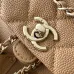 Chanel Duma Backpack Caviar Leather Gold Hardware #A49133