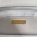 CHANEL Diana Lamb Matelasse Chain Shoulder Bag size:13×21×6cm #A54037