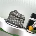 Chanel Birdcage minaudiere, Silver-tone metal &amp; strass, silvery &amp; crystal #A49171