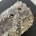 Chanel Sequin New Mini Flap Bag - Metallic Shoulder Bags #A49789