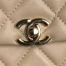 Chanel Small Flap Bag #A50045