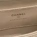 Chanel Small Flap Bag #A50045