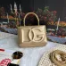 D&amp;G High Quality Handbag Size:13.5×17.5×6.5cm #A47937