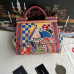 D&amp;G New style colorful top quality bag  #A33518