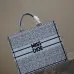 Christian Dior Stripes book tote AAA+ bags #A42328