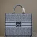 Christian Dior Stripes book tote AAA+ bags #A42328