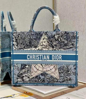Dior AAA+ Handbags Book Tote #999928801
