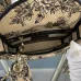 Dior Handbags Lady D-Lite CHRISTIAN DIOR PARIS size:17×15×7cm #A53705