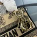 Dior Handbags Lady D-Lite CHRISTIAN DIOR PARIS size:17×15×7cm #A53705