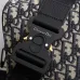 Dior Lingot new designer style Bag Adjustable shoulder strap with aluminum buckle for hand, shoulder crossbody Bag #999934333