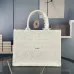 Dior Oblique Saddle AAA+ Handbags  #999926558