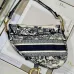 Dior Oblique Saddle Bag #999914681