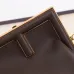 Fendi Backpack Bag First #A48121