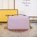 Fendi Handbag Size:24×7×13cm #A48098