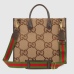 Brand Gucci AAA+Handbags #999919751