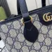 GUCCI Ophidia mini  tote bag size:20×18×10cm #A53691