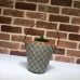 Gucci Handbag Pineapple Size:19.5x17x11cm #A48315