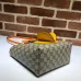 Gucci Handbag Pineapple Size:21×20×10cm #A48316