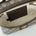 Gucci Handbag Size:20X12X6cm #A48324