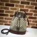 Gucci Bucket Tote and Shoulder Bag size:26×31×12cm #A53675